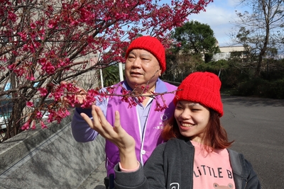 志工隊長徐錦生並推著輪椅帶院生小玉賞櫻花