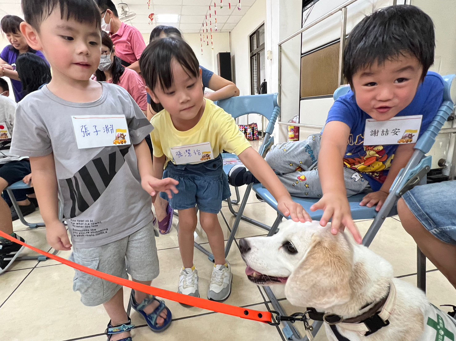 新北早療社區資源中心親子活動
Q萌治療犬 陪早療幼兒一起學習
