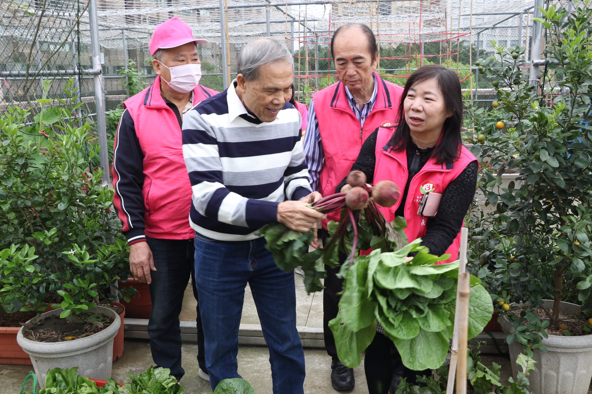 板橋三民社區開心農場
七大植化素蔬果供長輩歡喜共餐