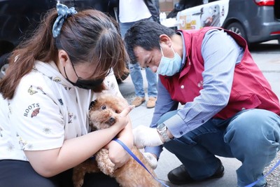 新北市政府動保處獸醫協助民眾為毛寶貝施打狂犬病疫苗